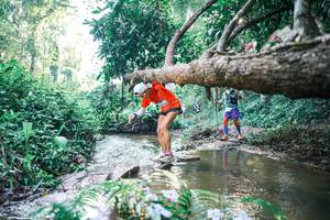 BIB: 
                            <button type="button" onclick="openModal(25433905)" class="btn btn-primary btn-sm float-right btn-popup" data-toggle="modal" data-target=".modal-high-quality">
                        <i class="fas fa-shopping-cart"></i> Add to Cart
                    </button>
                                            <button type="button" onclick="isThisMe(25433905, true)" class="btn btn-success btn-sm float-right btn-popup btn-isme hidden" data-toggle="tooltip" data-placement="bottom" title="นี่คือรูปของคุณใช่ไหม คลิกที่นี่เพื่อเอาเข้าอัลบั้ม">
                        <i class="fas fa-plus"></i> Add to album
                    </button>
                    <button type="button" onclick="isThisMe(25433905, false)" class="btn btn-warning btn-sm float-right btn-popup btn-isnotme hidden">
                        <i class="fas fa-ban"></i> Remove from album
                    </button>